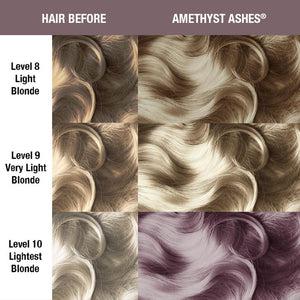 AMETHYST ASHES® - CLASSIC HIGH VOLTAGE